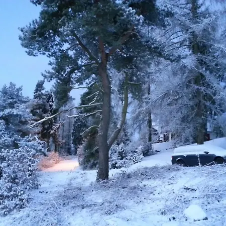 De Dageraadkijker *